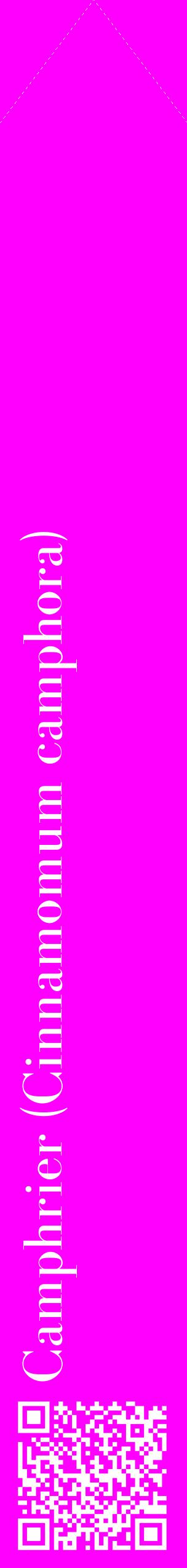 Étiquette de : Cinnamomum camphora - format c - style blanche51_simplebod avec qrcode et comestibilité
