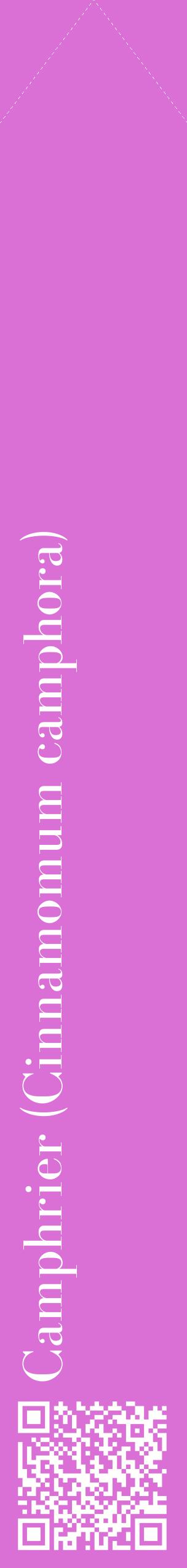 Étiquette de : Cinnamomum camphora - format c - style blanche52_simplebod avec qrcode et comestibilité