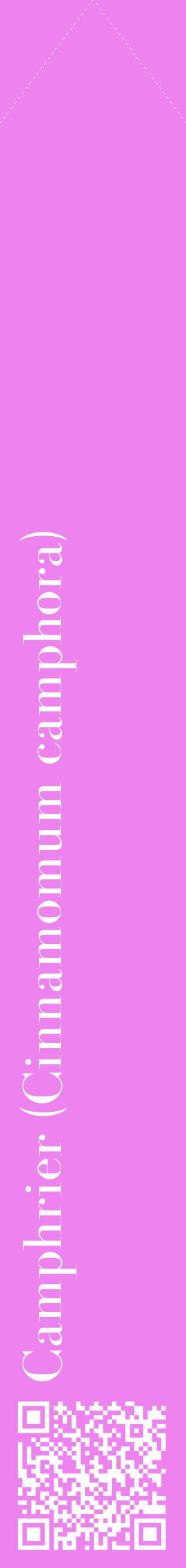 Étiquette de : Cinnamomum camphora - format c - style blanche53_simplebod avec qrcode et comestibilité