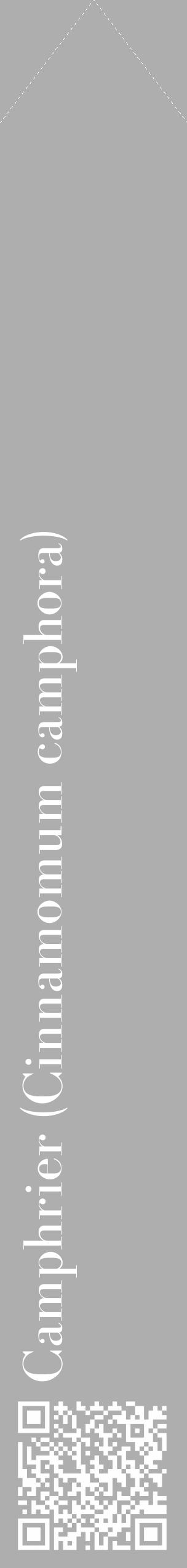 Étiquette de : Cinnamomum camphora - format c - style blanche53_simple_simplebod avec qrcode et comestibilité - position verticale