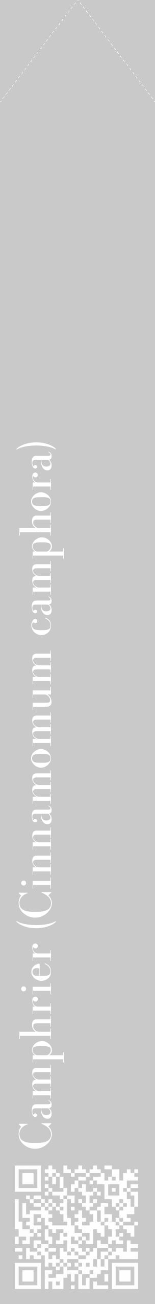 Étiquette de : Cinnamomum camphora - format c - style blanche54_simple_simplebod avec qrcode et comestibilité - position verticale