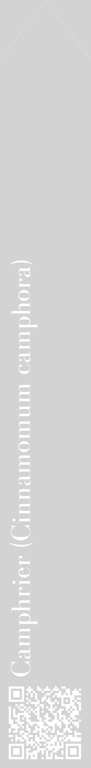 Étiquette de : Cinnamomum camphora - format c - style blanche56_simplebod avec qrcode et comestibilité