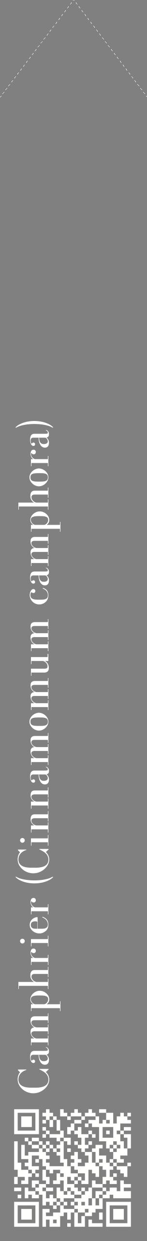 Étiquette de : Cinnamomum camphora - format c - style blanche57_simplebod avec qrcode et comestibilité