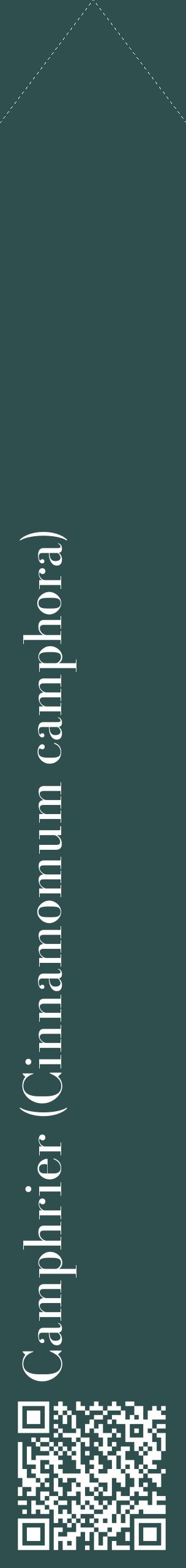 Étiquette de : Cinnamomum camphora - format c - style blanche58_simplebod avec qrcode et comestibilité