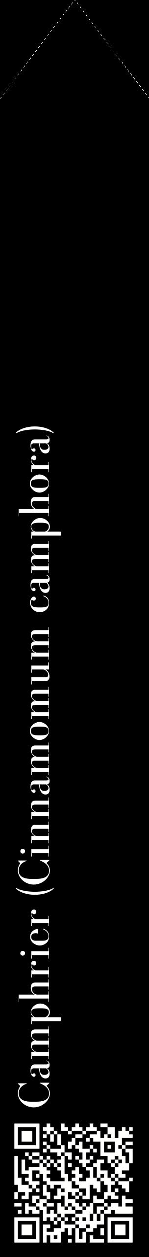 Étiquette de : Cinnamomum camphora - format c - style blanche59_simplebod avec qrcode et comestibilité