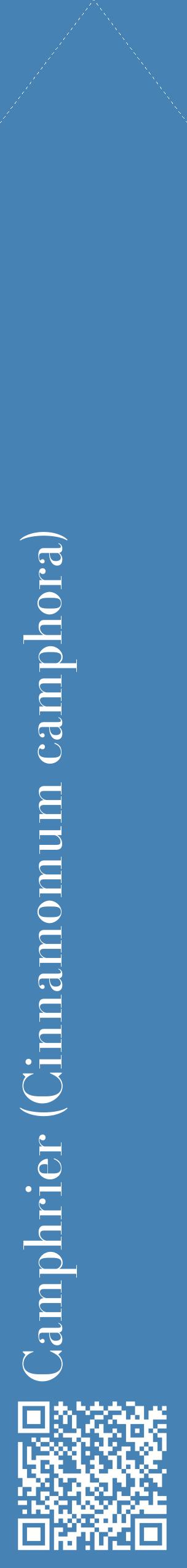 Étiquette de : Cinnamomum camphora - format c - style blanche5_simplebod avec qrcode et comestibilité