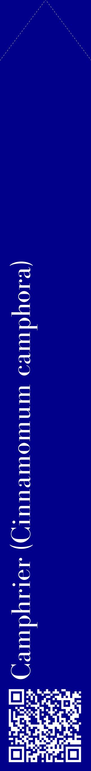 Étiquette de : Cinnamomum camphora - format c - style blanche7_simplebod avec qrcode et comestibilité