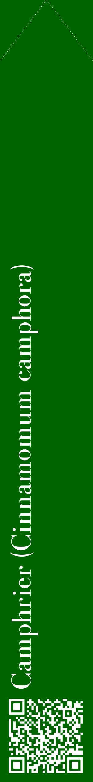 Étiquette de : Cinnamomum camphora - format c - style blanche8_simplebod avec qrcode et comestibilité