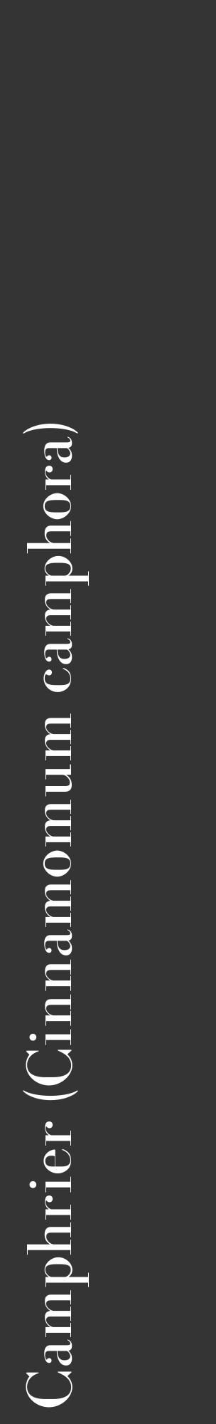 Étiquette de : Cinnamomum camphora - format c - style blanche46_basique_basiquebod avec comestibilité - position verticale