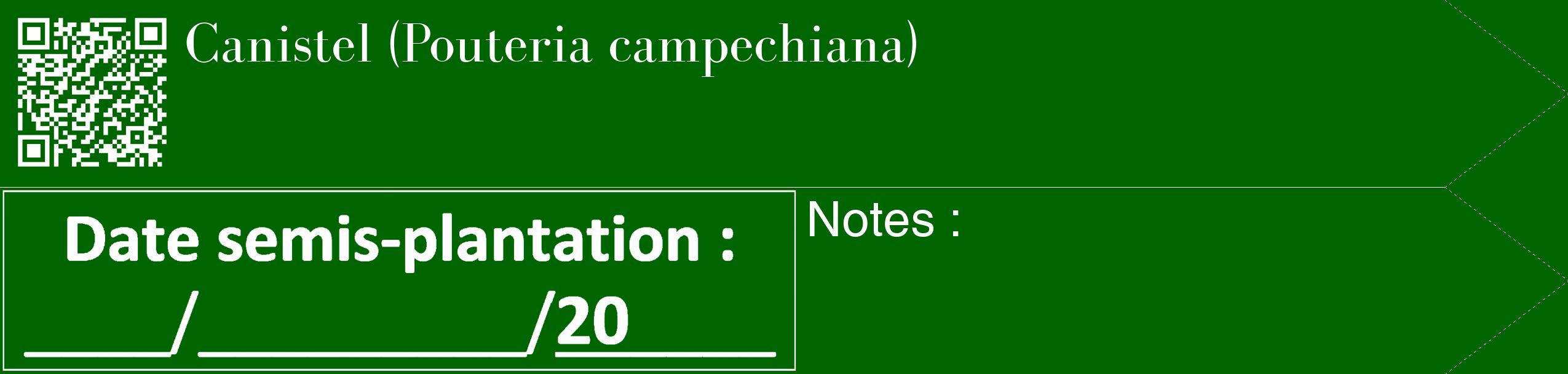 Étiquette de : Pouteria campechiana - format c - style blanche8_simple_simplebod avec qrcode et comestibilité