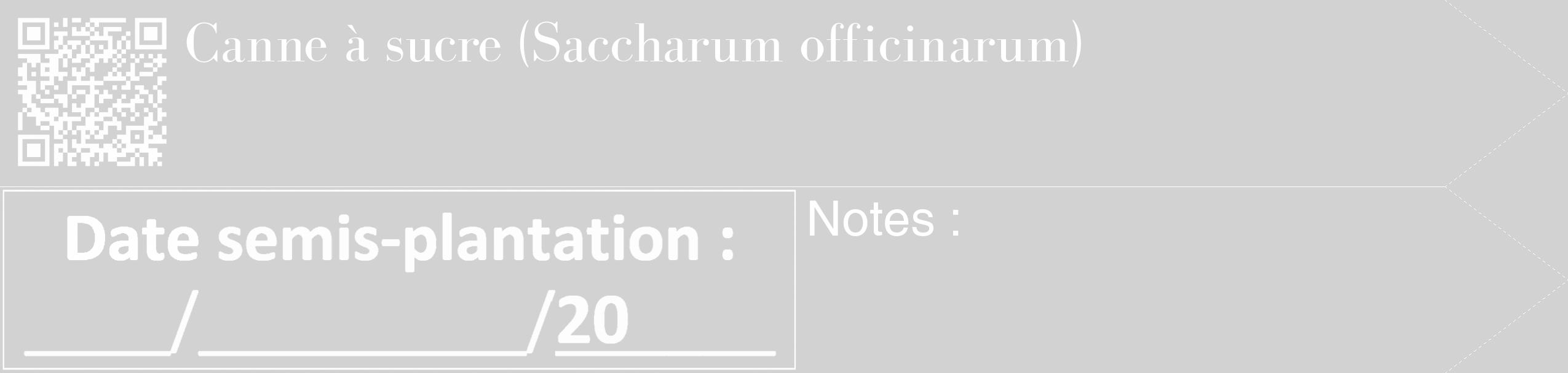 Étiquette de : Saccharum officinarum - format c - style blanche14_simple_simplebod avec qrcode et comestibilité
