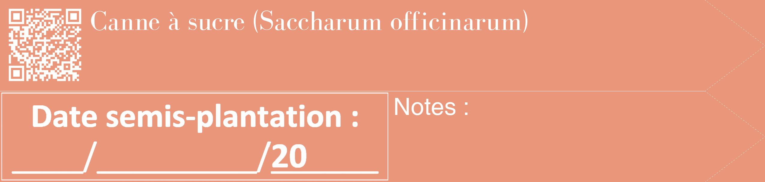 Étiquette de : Saccharum officinarum - format c - style blanche37_simple_simplebod avec qrcode et comestibilité