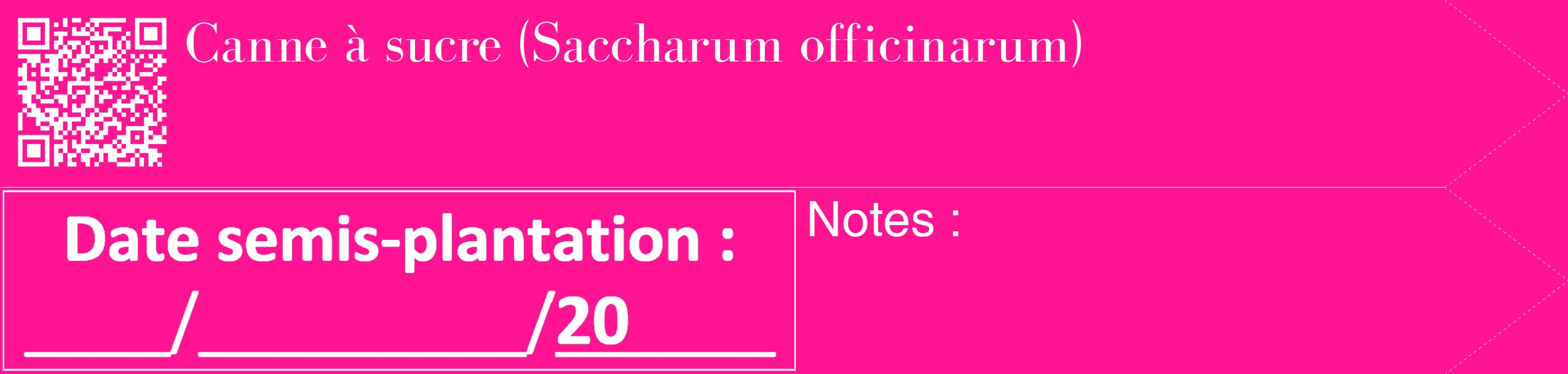 Étiquette de : Saccharum officinarum - format c - style blanche43_simple_simplebod avec qrcode et comestibilité