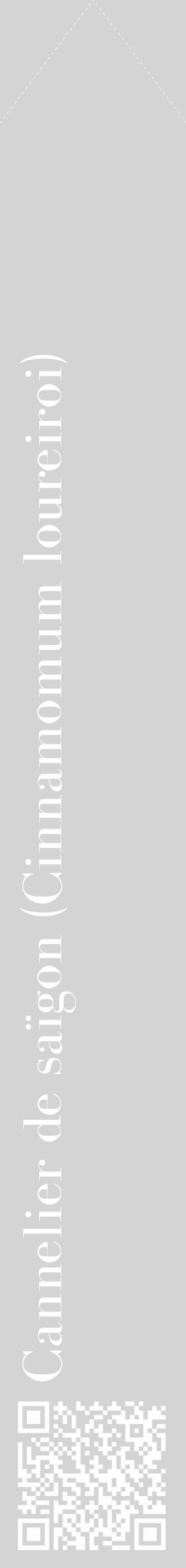 Étiquette de : Cinnamomum loureiroi - format c - style blanche40_simple_simplebod avec qrcode et comestibilité - position verticale