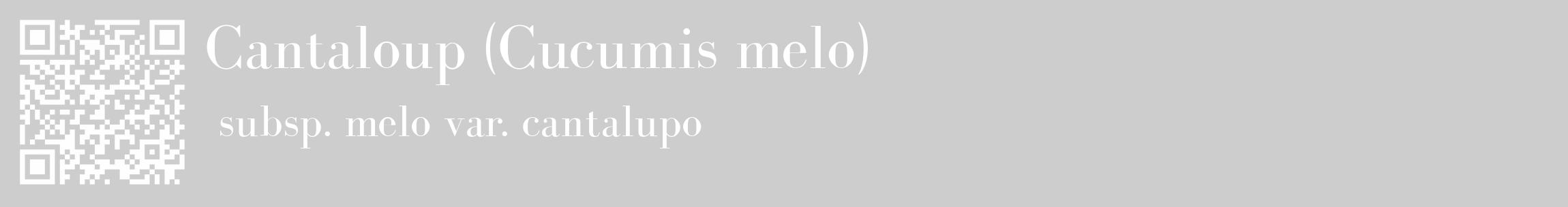 Étiquette de : Cucumis melo subsp. melo var. cantalupo - format c - style blanche41_basique_basiquebod avec qrcode et comestibilité