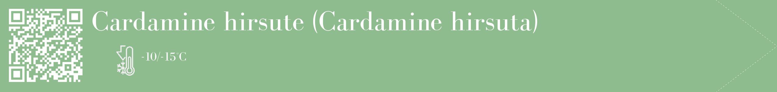 Étiquette de : Cardamine hirsuta - format c - style blanche13_simple_simplebod avec qrcode et comestibilité