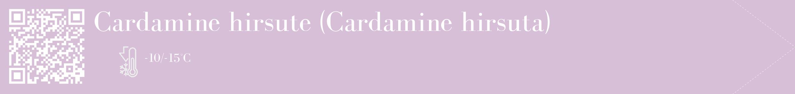 Étiquette de : Cardamine hirsuta - format c - style blanche54_simple_simplebod avec qrcode et comestibilité