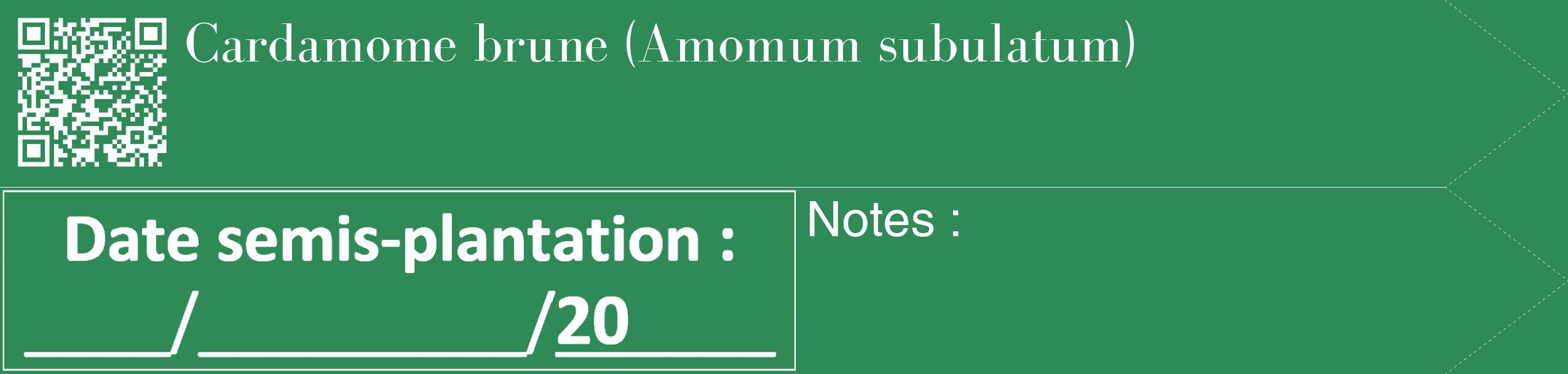 Étiquette de : Amomum subulatum - format c - style blanche11_simple_simplebod avec qrcode et comestibilité