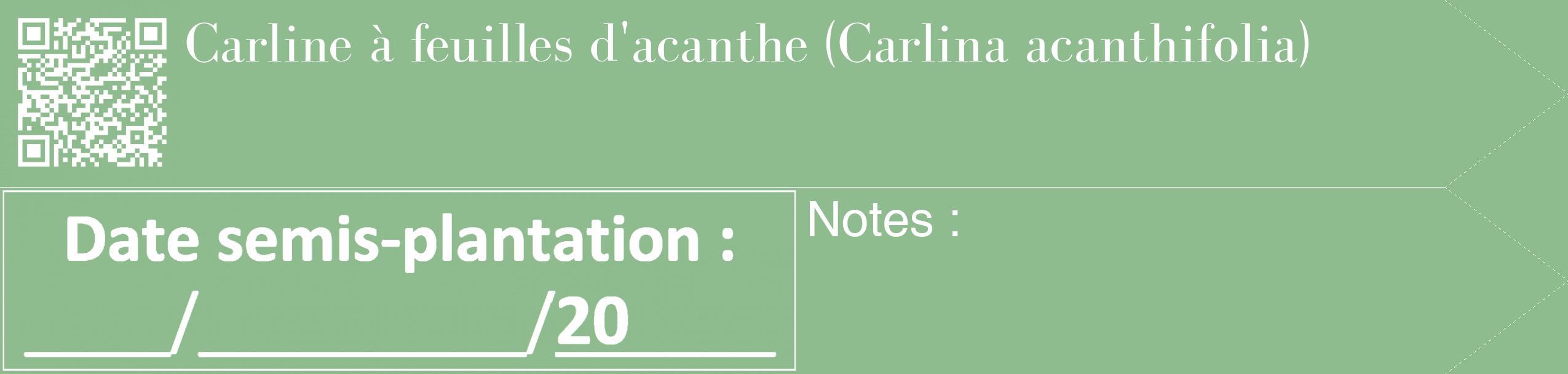 Étiquette de : Carlina acanthifolia - format c - style blanche13_simple_simplebod avec qrcode et comestibilité