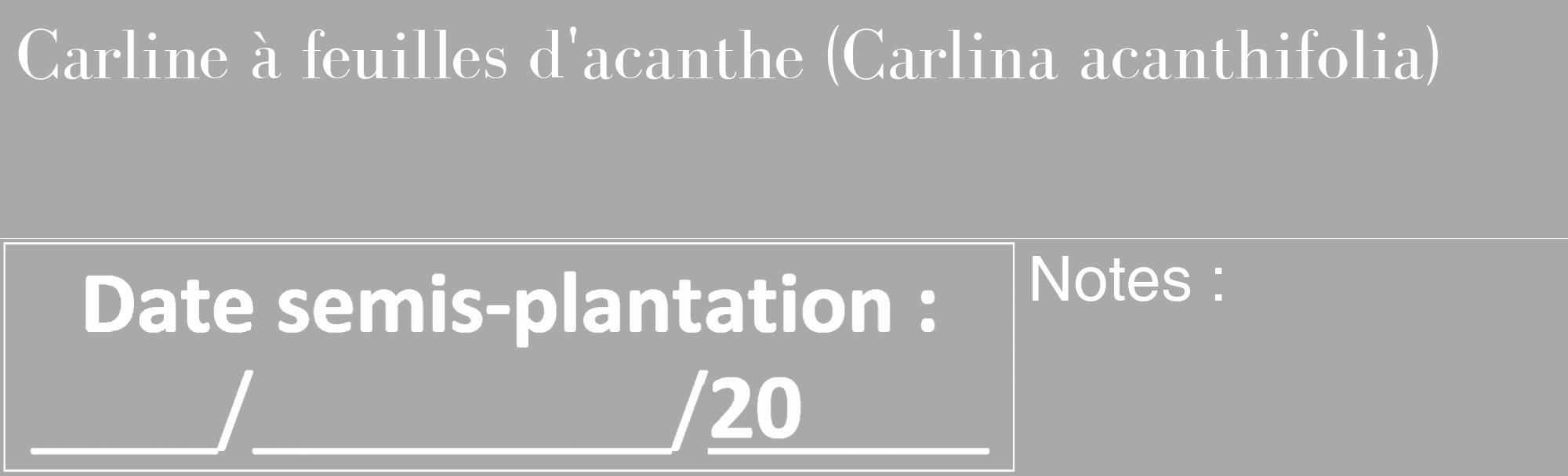 Étiquette de : Carlina acanthifolia - format c - style blanche13_basique_basiquebod avec comestibilité