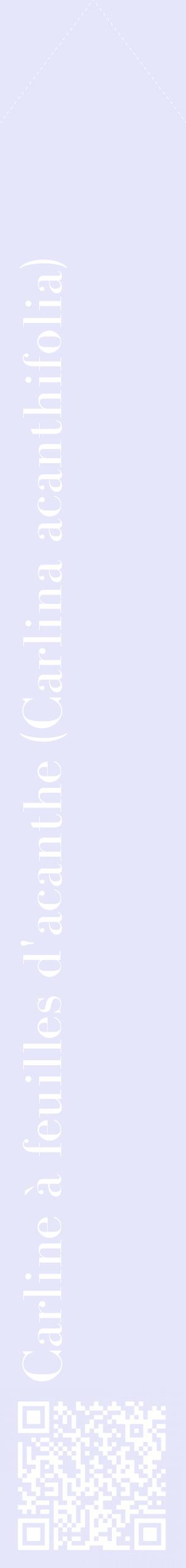 Étiquette de : Carlina acanthifolia - format c - style blanche55_simplebod avec qrcode et comestibilité