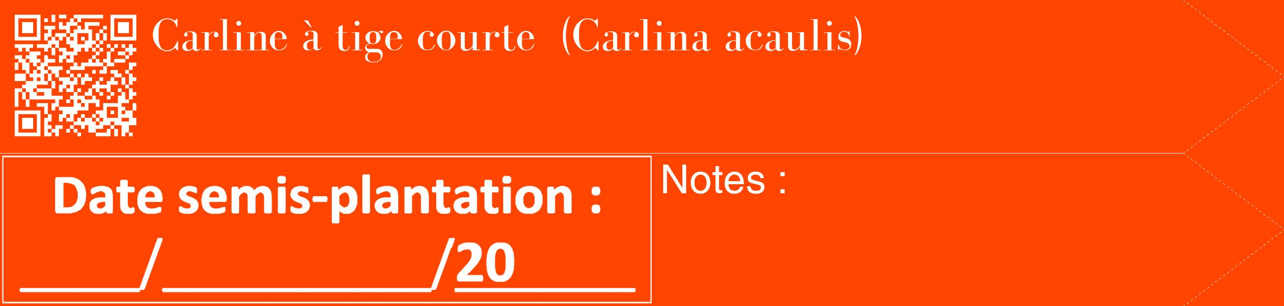 Étiquette de : Carlina acaulis - format c - style blanche26_simple_simplebod avec qrcode et comestibilité