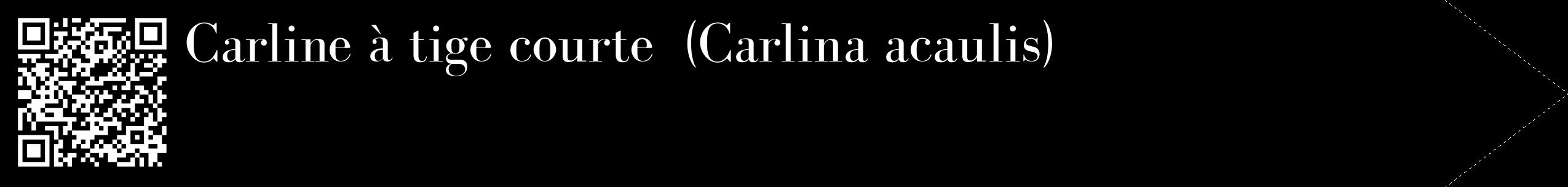 Étiquette de : Carlina acaulis - format c - style blanche59_simple_simplebod avec qrcode et comestibilité