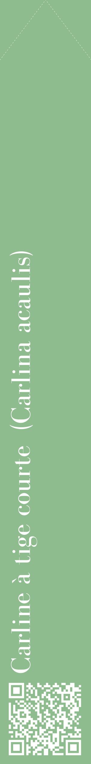 Étiquette de : Carlina acaulis - format c - style blanche13_simplebod avec qrcode et comestibilité