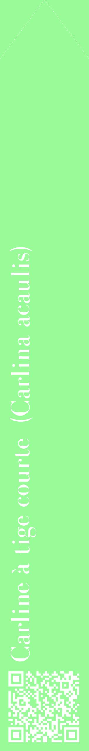 Étiquette de : Carlina acaulis - format c - style blanche14_simplebod avec qrcode et comestibilité