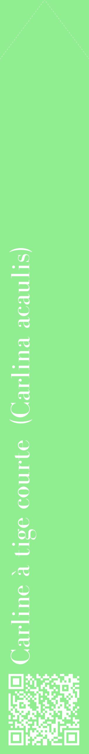 Étiquette de : Carlina acaulis - format c - style blanche15_simplebod avec qrcode et comestibilité