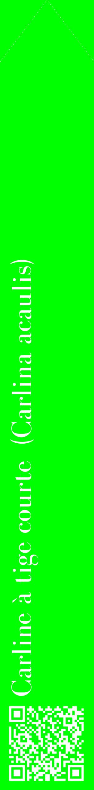 Étiquette de : Carlina acaulis - format c - style blanche16_simplebod avec qrcode et comestibilité