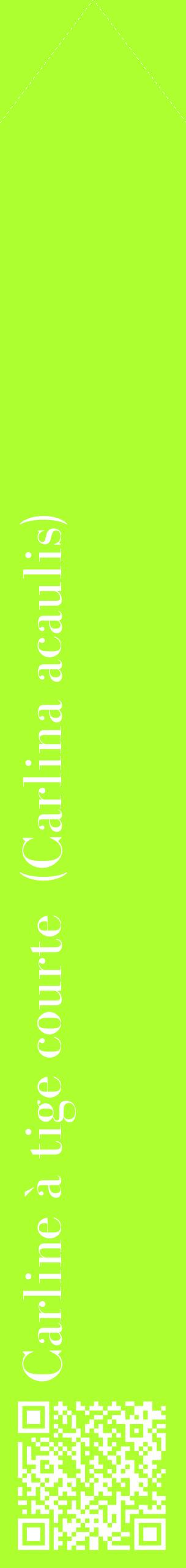 Étiquette de : Carlina acaulis - format c - style blanche17_simplebod avec qrcode et comestibilité