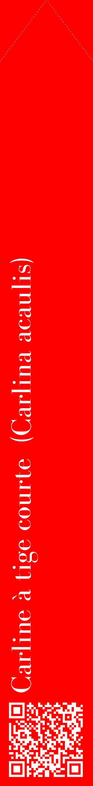 Étiquette de : Carlina acaulis - format c - style blanche27_simplebod avec qrcode et comestibilité
