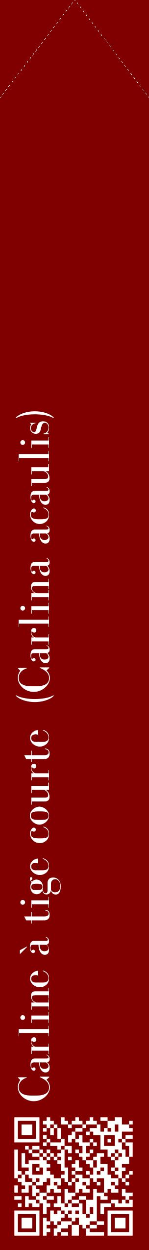 Étiquette de : Carlina acaulis - format c - style blanche29_simplebod avec qrcode et comestibilité