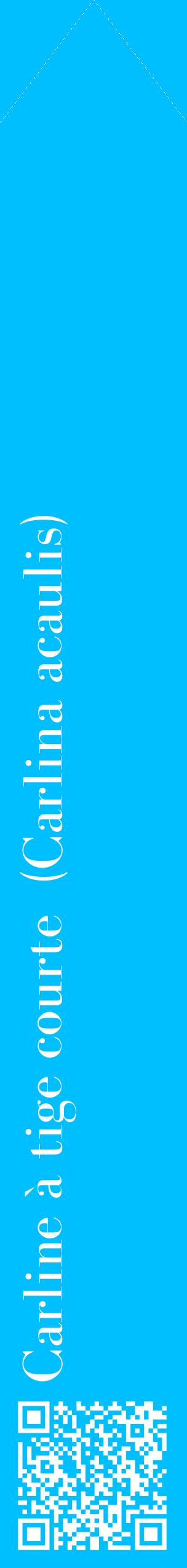 Étiquette de : Carlina acaulis - format c - style blanche2_simplebod avec qrcode et comestibilité