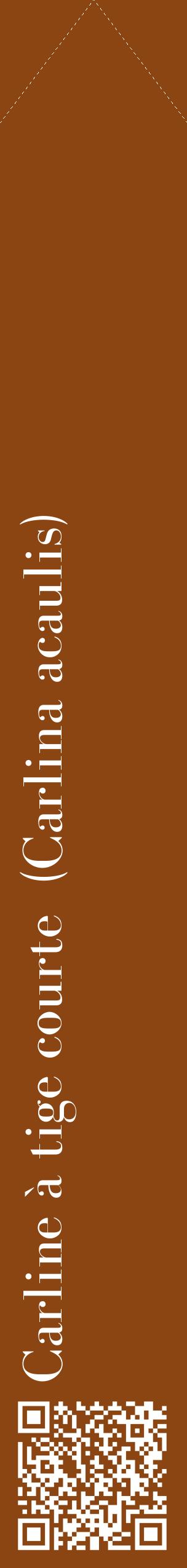 Étiquette de : Carlina acaulis - format c - style blanche30_simplebod avec qrcode et comestibilité