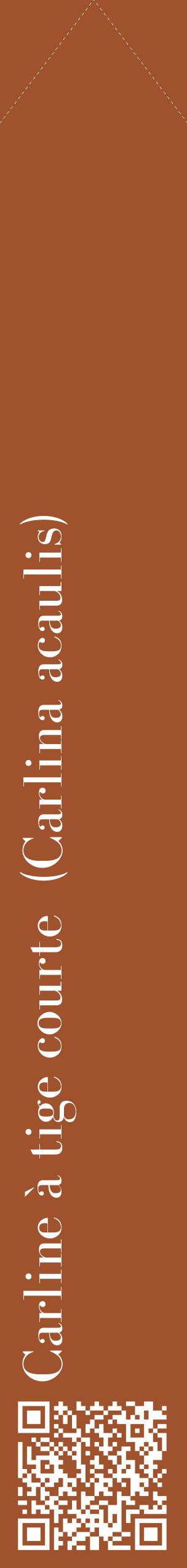 Étiquette de : Carlina acaulis - format c - style blanche32_simplebod avec qrcode et comestibilité