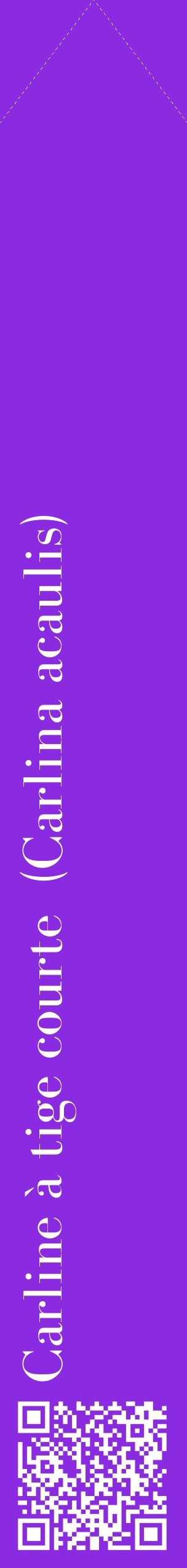 Étiquette de : Carlina acaulis - format c - style blanche49_simplebod avec qrcode et comestibilité