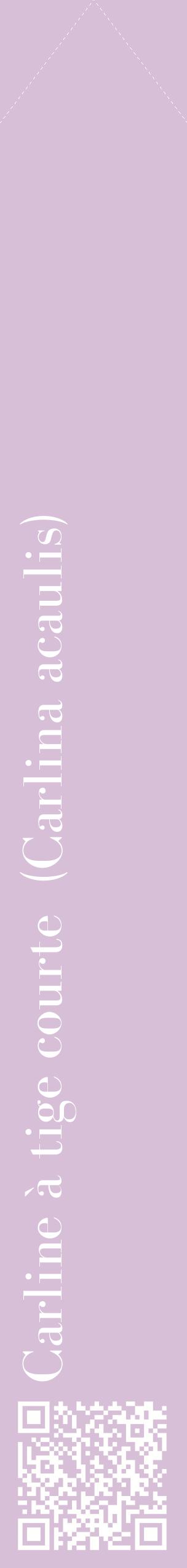 Étiquette de : Carlina acaulis - format c - style blanche54_simplebod avec qrcode et comestibilité