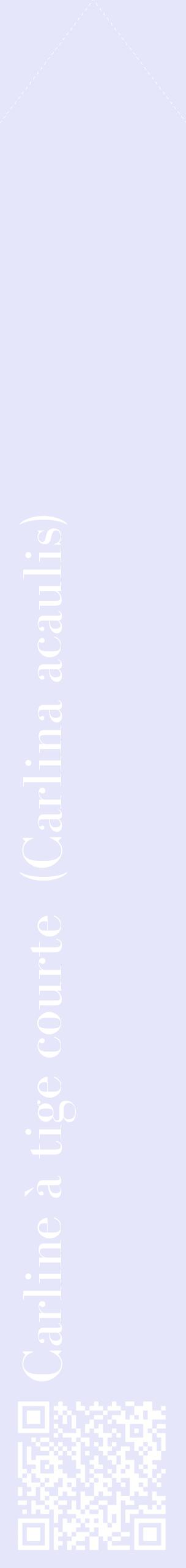 Étiquette de : Carlina acaulis - format c - style blanche55_simplebod avec qrcode et comestibilité