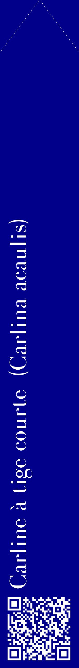 Étiquette de : Carlina acaulis - format c - style blanche7_simplebod avec qrcode et comestibilité