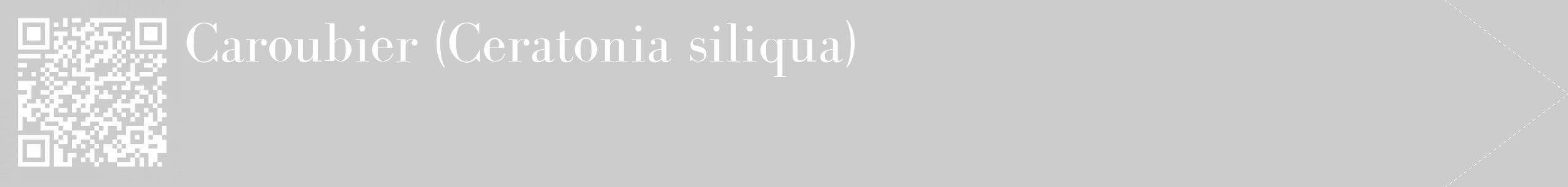 Étiquette de : Ceratonia siliqua - format c - style blanche0_simple_simplebod avec qrcode et comestibilité