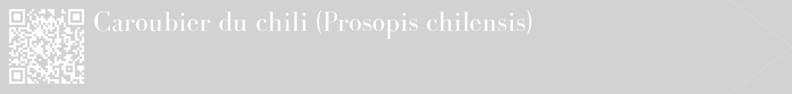 Étiquette de : Prosopis chilensis - format c - style blanche14_simple_simplebod avec qrcode et comestibilité