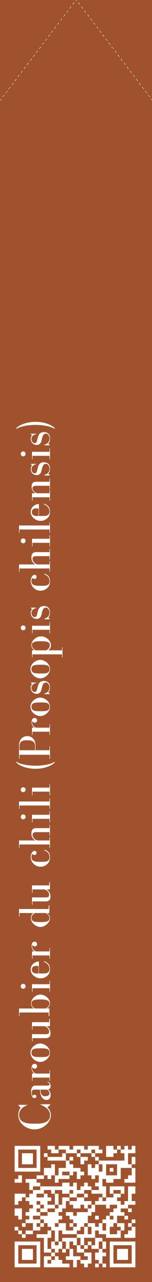 Étiquette de : Prosopis chilensis - format c - style blanche32_simplebod avec qrcode et comestibilité
