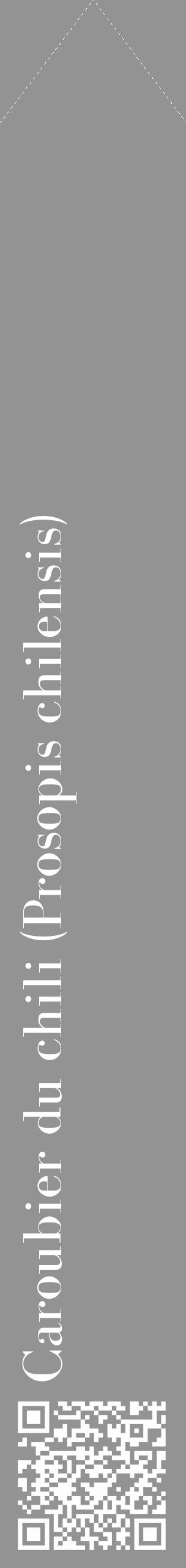 Étiquette de : Prosopis chilensis - format c - style blanche44_simple_simplebod avec qrcode et comestibilité - position verticale