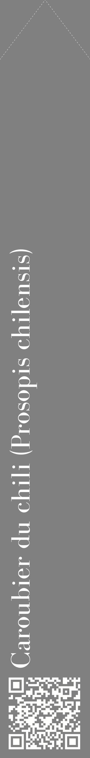Étiquette de : Prosopis chilensis - format c - style blanche57_simplebod avec qrcode et comestibilité