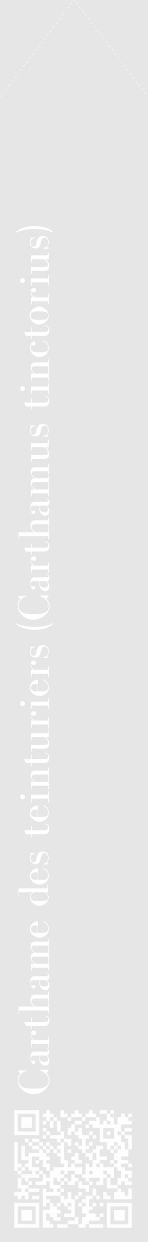 Étiquette de : Carthamus tinctorius - format c - style blanche18_simple_simplebod avec qrcode et comestibilité - position verticale