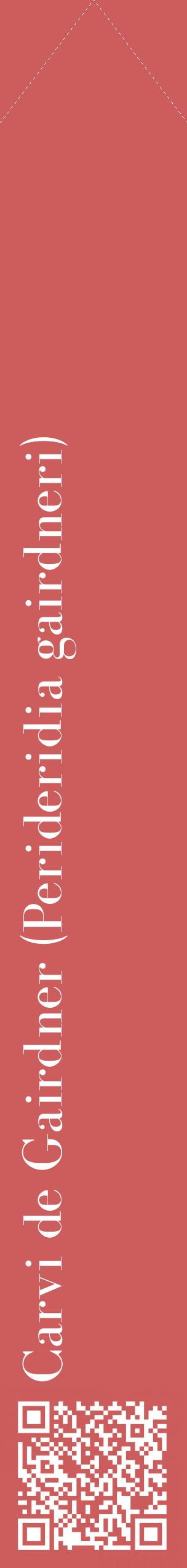 Étiquette de : Perideridia gairdneri - format c - style blanche35_simplebod avec qrcode et comestibilité