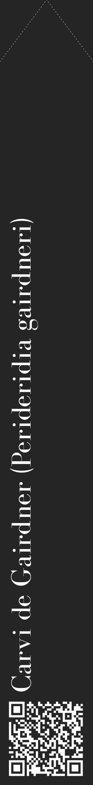 Étiquette de : Perideridia gairdneri - format c - style blanche47_simple_simplebod avec qrcode et comestibilité - position verticale