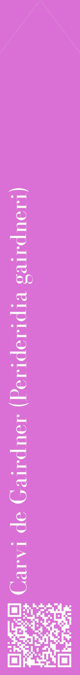 Étiquette de : Perideridia gairdneri - format c - style blanche52_simplebod avec qrcode et comestibilité